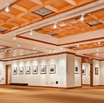 Types Of Ceilings 4 types of ceilings: Coffered Wood Ceiling